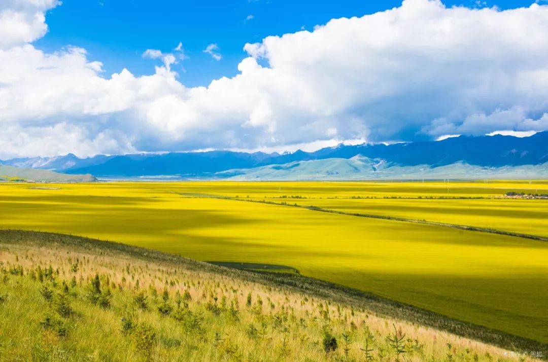 青海，时光遗忘的秘境之旅